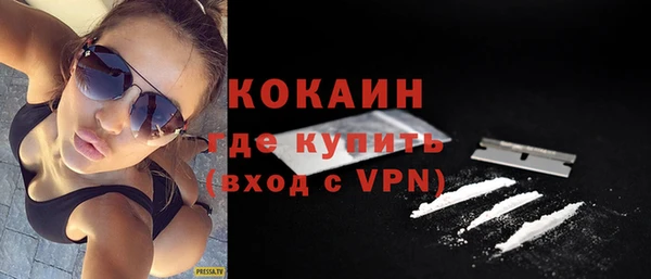 твердый Алзамай