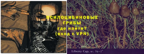 кокаин Алексеевка