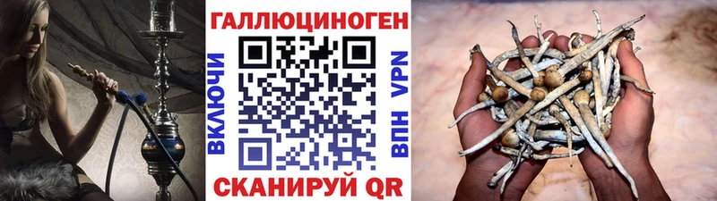 Галлюциногенные грибы мухоморы Волгоград